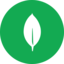 MongoDB icon